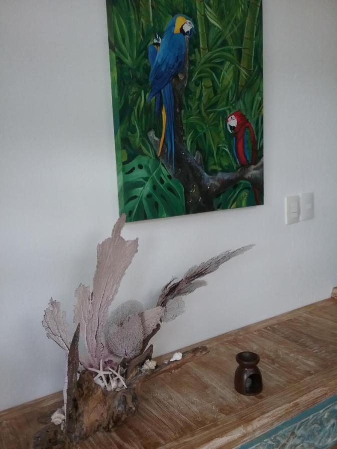 Casa Rioja Playacar Bed & Breakfast Playa del Carmen Ngoại thất bức ảnh