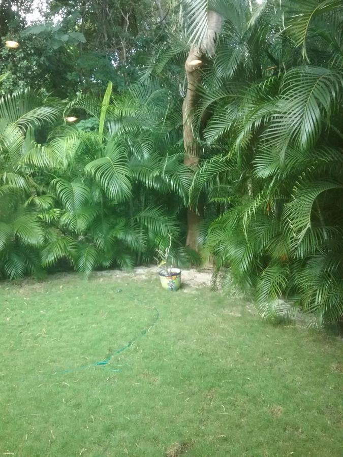 Casa Rioja Playacar Bed & Breakfast Playa del Carmen Ngoại thất bức ảnh